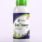 EMPOWER (BUTACHLOR 60% EC) 800ML